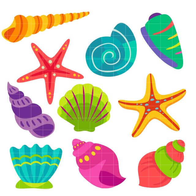 cuadrado ocio otro best-free-seashell-sea-shell-clip-art-clipart-image-design | Virtual  Festival of Songs